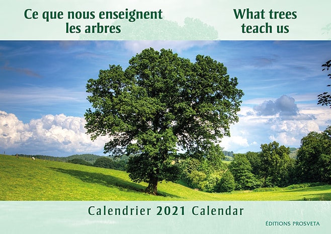 Calendar 2021: 'What trees teach us'